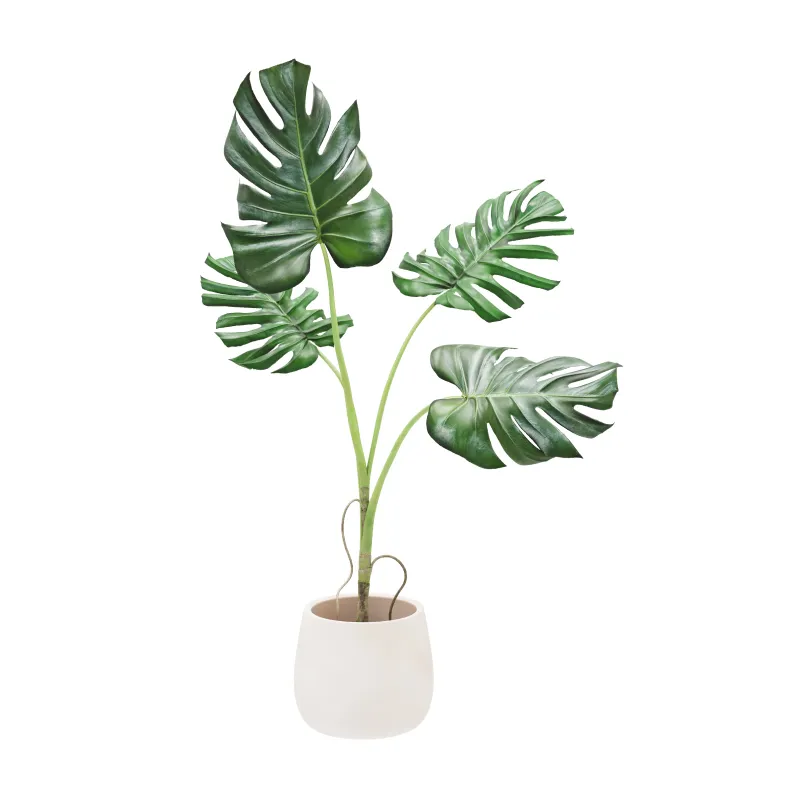 Product photo example of a plant